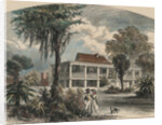 Couple Strolling with Dog by Anonymous