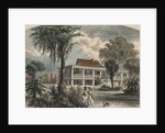 Couple Strolling with Dog by Anonymous