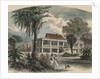 Couple Strolling with Dog by Anonymous