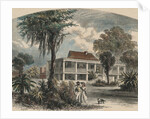 Couple Strolling with Dog by Anonymous