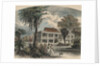 Couple Strolling with Dog by Anonymous
