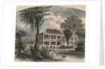 Couple Strolling with Dog by Anonymous
