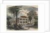 Couple Strolling with Dog by Anonymous