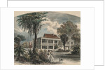Couple Strolling with Dog by Anonymous