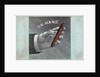 Man's Hand with Cigar by Anonymous