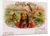 Great Chief Cigar Advertisement by Anonymous