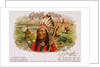 Great Chief Cigar Advertisement by Anonymous