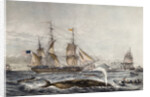 Cape of Good Hope by Anonymous