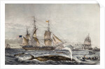 Cape of Good Hope by Anonymous