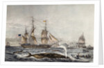 Cape of Good Hope by Anonymous