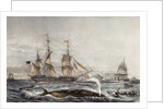 Cape of Good Hope by Anonymous