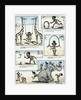 Stereotypical Illustration Depicting African Children in Their Villages by Anonymous