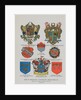 Selection of Emblematic Arms by Anonymous