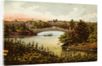 Lake and Bow Bridge in Central Park by Anonymous