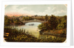 Lake and Bow Bridge in Central Park by Anonymous