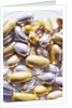 Gold and Silver Sugared Almonds by Anonymous