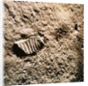 Astronaut's Footprint on the Moon by Anonymous