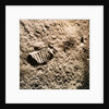 Astronaut's Footprint on the Moon by Anonymous