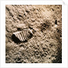 Astronaut's Footprint on the Moon by Anonymous