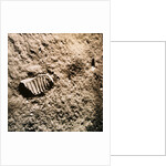 Astronaut's Footprint on the Moon by Anonymous