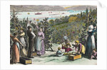 Farmers Picking Grapes on River's Edge by Anonymous