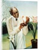 George Washington Carver by Anonymous