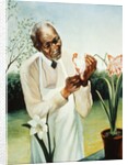 George Washington Carver by Anonymous