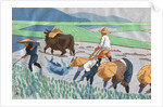 Asians Working in Rice Paddy Field by Anonymous