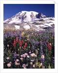 Flowers before Mount Rainier by Anonymous