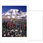 Flowers before Mount Rainier by Anonymous