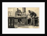 Measuring cranial Capacity of Skulls by Anonymous