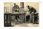 Measuring cranial Capacity of Skulls by Anonymous