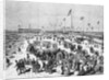 People Frolicking and Enjoying the Beach by Anonymous