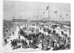 People Frolicking and Enjoying the Beach by Anonymous
