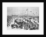 People Frolicking and Enjoying the Beach by Anonymous