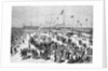 People Frolicking and Enjoying the Beach by Anonymous