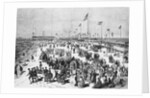 People Frolicking and Enjoying the Beach by Anonymous
