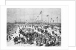 People Frolicking and Enjoying the Beach by Anonymous