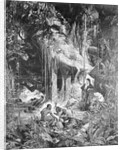 Alexander von Humboldt Beside River by Anonymous