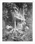 Alexander von Humboldt Beside River by Anonymous