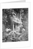 Alexander von Humboldt Beside River by Anonymous