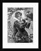 Woman Holding A Christmas Pudding by Anonymous