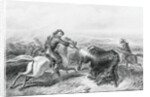 Illustration of Hunter Shooting Buffalo by Anonymous