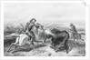 Illustration of Hunter Shooting Buffalo by Anonymous