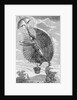 Man Attempting to Fly with Parachute by Anonymous