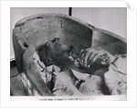 Mummy of Ramses II King of 19th Dynasty of Egypt by Anonymous