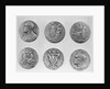 Six Views of Nobel Medals by Anonymous