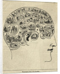 Phrenological Chart Showing Mental Functions by Anonymous