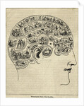 Phrenological Chart Showing Mental Functions by Anonymous