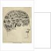 Phrenological Chart Showing Mental Functions by Anonymous